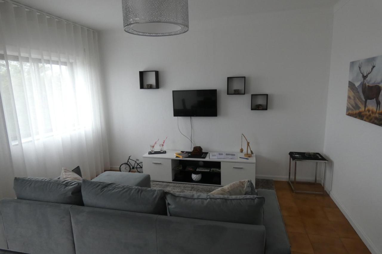 Casa Sandra - Apartamento Carlota Lousã Εξωτερικό φωτογραφία