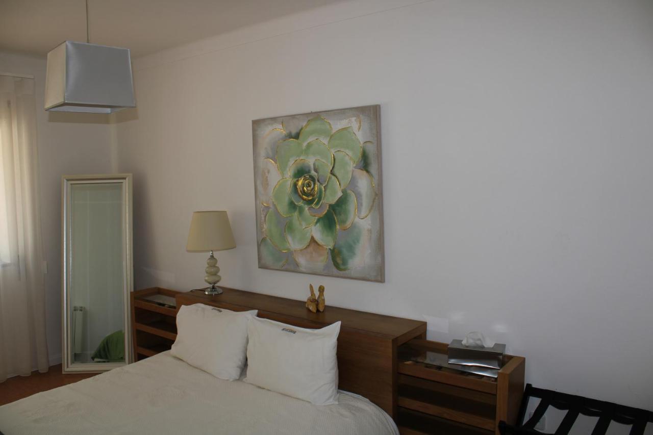 Casa Sandra - Apartamento Carlota Lousã Εξωτερικό φωτογραφία
