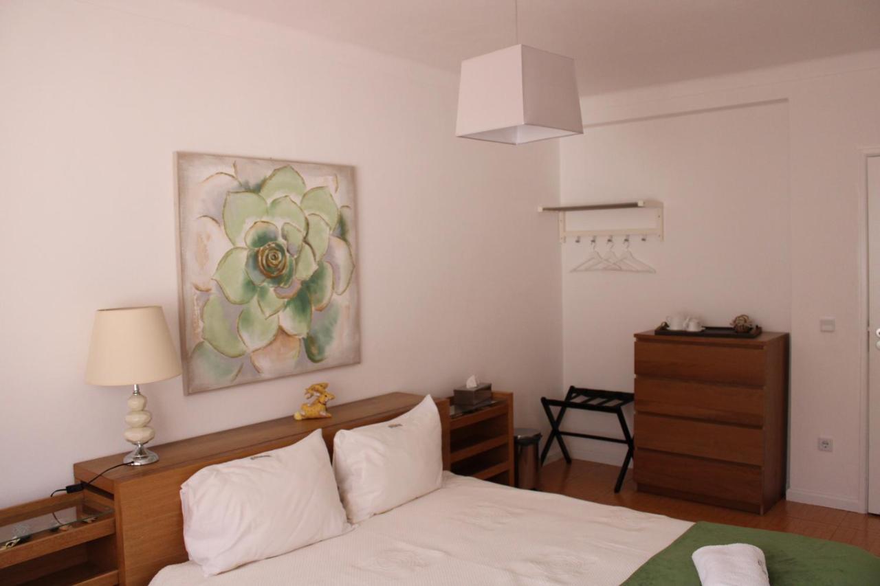 Casa Sandra - Apartamento Carlota Lousã Εξωτερικό φωτογραφία