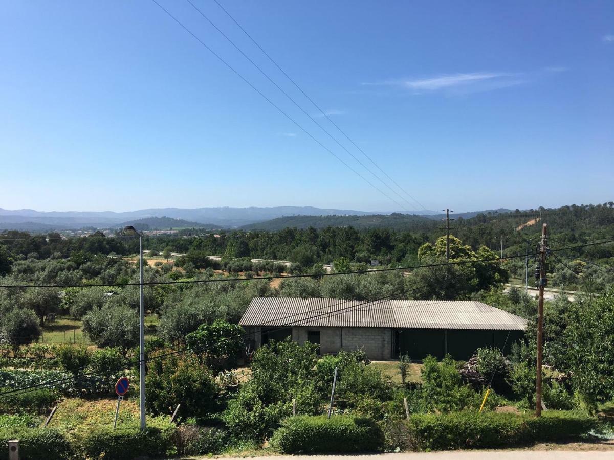 Casa Sandra - Apartamento Carlota Lousã Εξωτερικό φωτογραφία